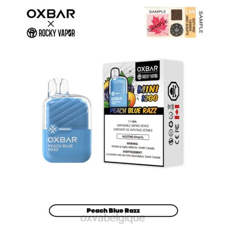 OXVA CIGARETTE Ã‰LECTRONIQUE ND68V20 OXVA OXBAR MINI 1200 glace aux raisins 2