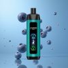 Aivono Aim Fatpro 22000 Puffs Myrtille 28ml 600mAh