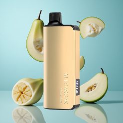 Alibarbar Ingot 9000 Bouffées 22ml Menthe Fraîche