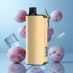 Alibarbar Ingot 9000 Puffs 22ml Glace Raisin 2350mAh