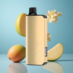 Alibarbar Ingot 9000 Puffs Mangue Magique 22ml 2350mAh