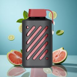 VOZOL GEAR 10000 Mojito Rouge Capacité de Liquide 20 ml et 10000 Bouffées