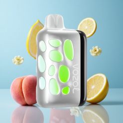 VOZOL RAVE 40000 Pêche Framboise Limonade Batterie 1000mAh Charge Rapide 20min