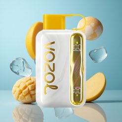 VOZOL STAR 40000 Puffs Mangue Glace Vape Jetable 1000mAh 20/50 mg/ml de nicotine