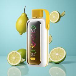 VOZOL Star 20000 Puffs Citron Vert Double Mèche Écran Miroir HD