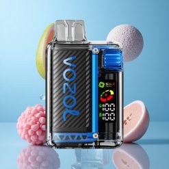 VOZOL Vista 20000 Bouffées 650mAh Bleu Framboise Glace