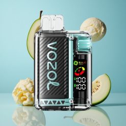VOZOL Vista 20000 Bouffées 650mAh Miami Menthe Recyclable