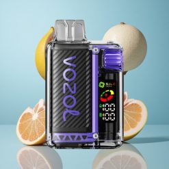 VOZOL Vista 20000 Bouffées Rechargeable 650mAh Sureau Pamplemousse