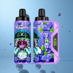 VapSolo VIKING 12000 Puffs 22ml Myrtille Vape Jetable